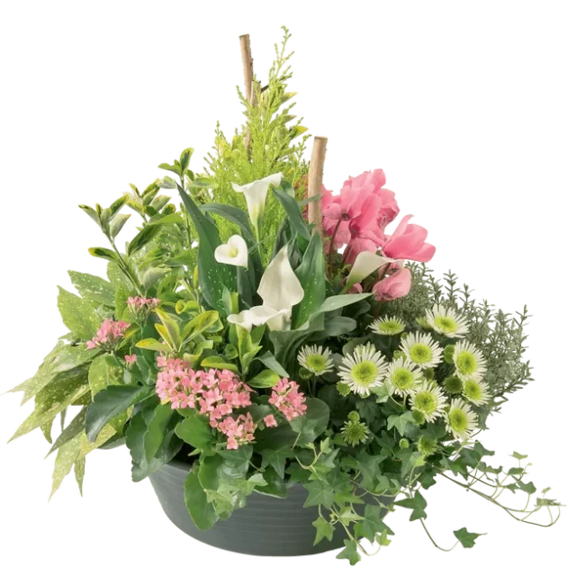 Coupe de plantes- deuil