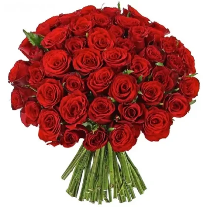 Bouquet de roses rouge