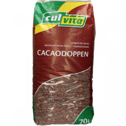 coques de cacao